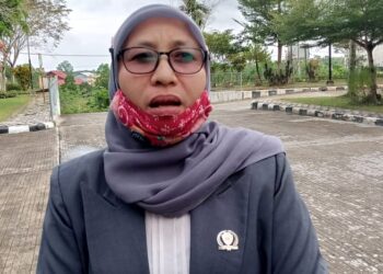 Aspek Pertanian Sangat  Berpeluang, Dorong Pembangunan Penangkaran Benih Padi Lokal