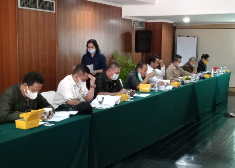 Dewan Usulkan Anggaran PJU, Penambahan CCTV dan Pembangunan Dermaga