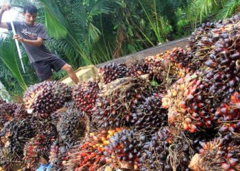 CPO Meroket Pekan Ini