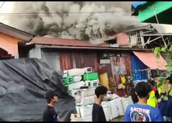 “Si jago merah” Mengamuk Di Gunung Polisi