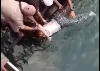 Jasad Wanita Tanpa Identitas Ditemukan Mengapung Di Pelabuhan Speed Boat