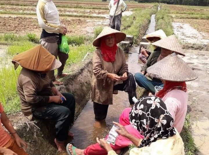 Minimnya Serapan Beras Lokal, Komisi II DPRD PPU Bakal Panggil Bulog