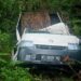 Pick Up Bermuatan 4 Ekor Sapi Masuk Jurang di Bukit Suharto, Sopir Tewas di Tempat