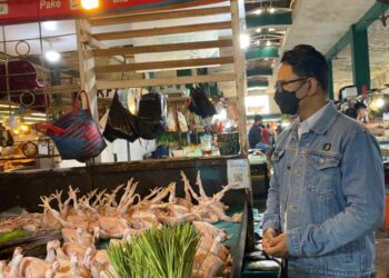 Harga Daging Ayam di Balikpapan Makin Tak Wajar
