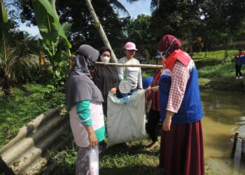 Berdayakan Ibu-Ibu, Kelompok Petratonik Panen Lele