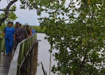 KSAL Tinjau Lahan 40 Hektar Untuk Pembangunan Markas di IKN