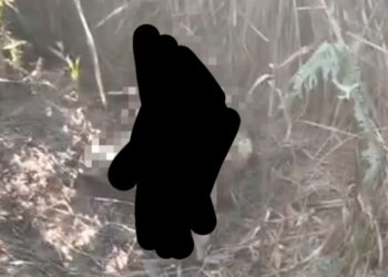 Jasad Tinggal Tulang  Belulang Gegerkan Prona 3 Balikpapan Selatan 