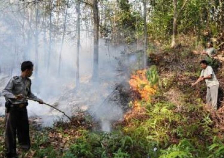 2 Wilayah di Kaltim Rawan Karhutla, Delapan CCTV Dipasang