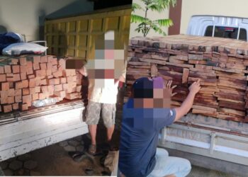 Dua Pemain Kayu Ilegal Dibekuk, Ratusan Kayu Ulil Diamankan