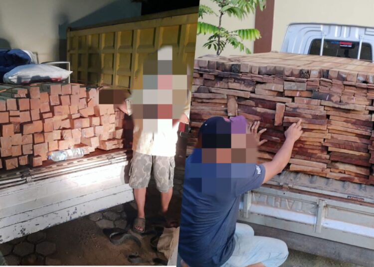 Dua Pemain Kayu Ilegal Dibekuk, Ratusan Kayu Ulil Diamankan