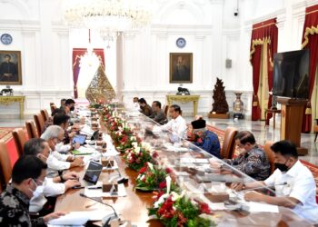 Jokowi Dorong Peningkatan Produksi Kedelai Nasional