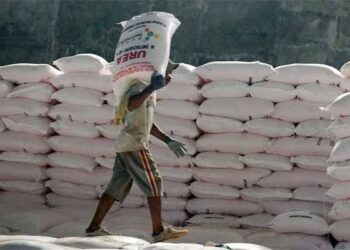 Masalah Pupuk Subsidi di PPU Belum Tepat Sasaran