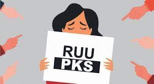 Tanggapan DP2PA Samarinda Adanya UU TPKS