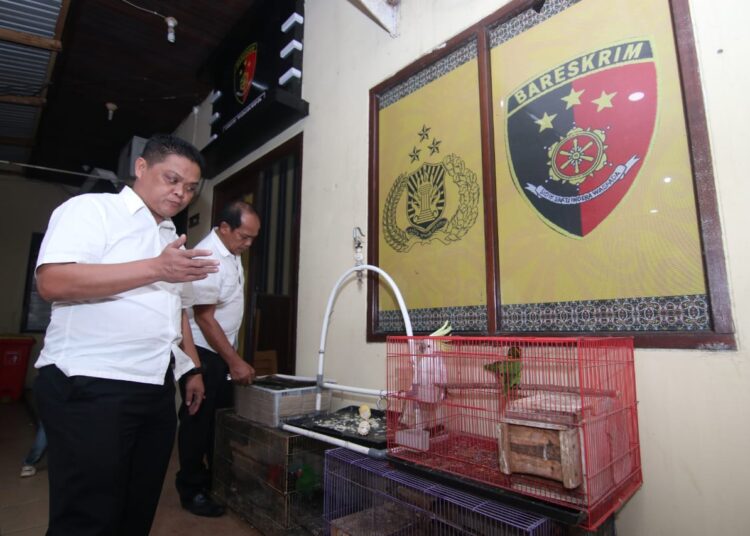 Jual 8 Ekor Burung Dilindungi, Dua Pria Diciduk Polresta Balikpapan
