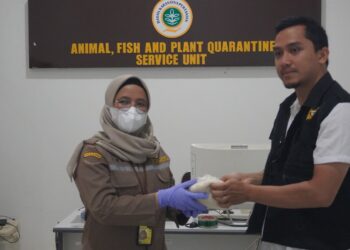 Beras dari India Ditahan Karantina Pertanian Balikpapan