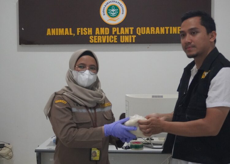 Beras dari India Ditahan Karantina Pertanian Balikpapan