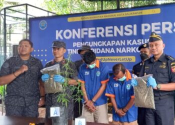 BNNK Balikpapan Gagalkan Peredaran 1 Kilo Ganja, Pelaku Juga Coba Budidaya
