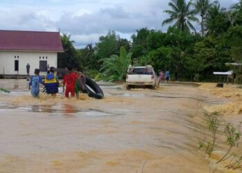 Pemerintah Harus Seriusi Masalah Banjir di Kawasan IKN