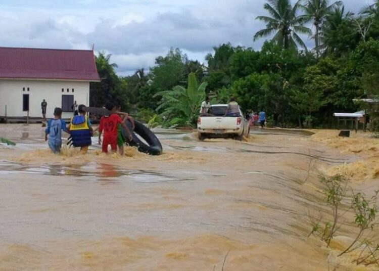 Pemerintah Harus Seriusi Masalah Banjir di Kawasan IKN