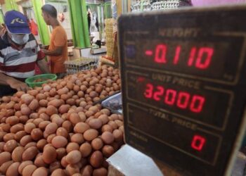 Harga Telur dan Ayam Terus Naik, Sujiati: Kita Harus Memiliki Pabrik Pakan Sendiri