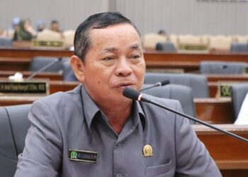 Jelang Pemilu 2024, Perlu Adanya Perhatian Khusus Bagi Pemilih Disabilitas