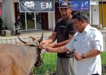 Distanak Kukar Tambah Populasi Peternakan