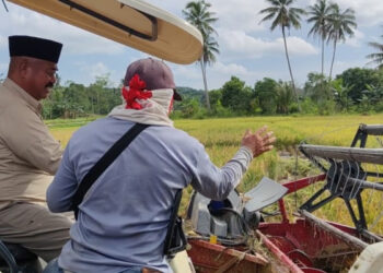 5 Desa Di Muara Kaman Dijadikan Kawasan Pengembangan Pertanian