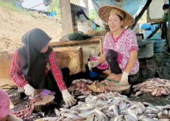Produk Olahan Ikan Muara Muntai Tembus Pasar Nasional