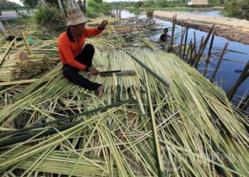 Olah Limbah Perekebunan Jadi Lidi dan Arang