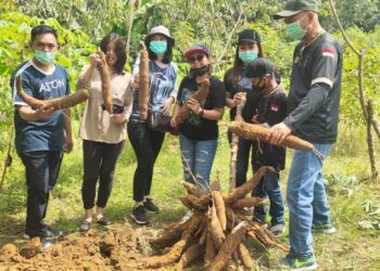 Wajib Cobain ! Singkong Selingkuh Ala Desa Jembayan Tengah Kukar