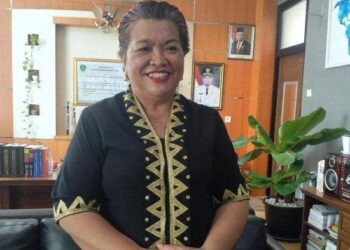 Persiapan IKN, Dinkes PPU Siapkan Rumah Sakit Umum di Sepaku