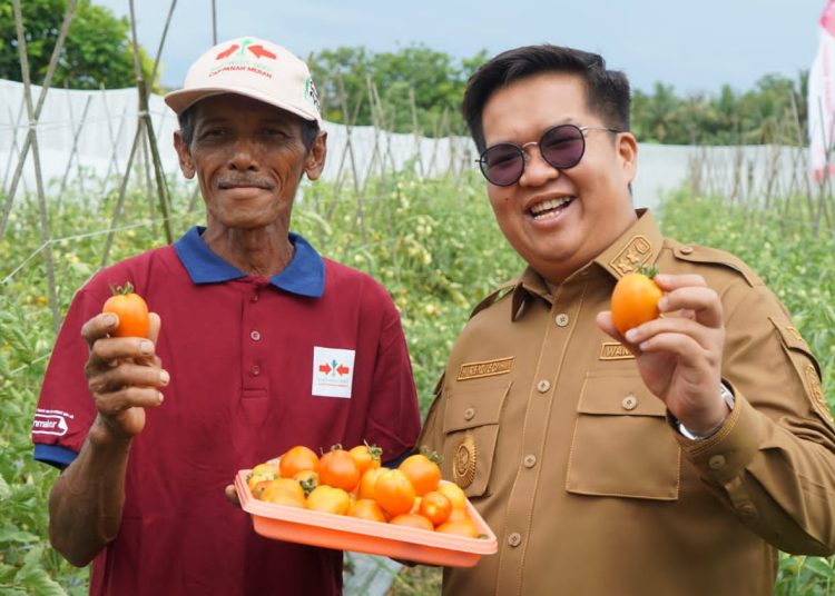 Transformasi Sektor Pertanian di Kukar, Menuju Lumbung Pangan IKN dengan Investasi Rp 700 Miliar