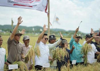 Bantuan Pertanian di Kukar Tembus Rp700 Miliar