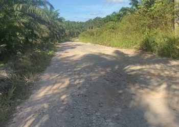 Semenisasi Jalan Menuju Kantor Kecamatan Kota Bangun Darat Dimulai, Anggarannya Rp 46 Miliar