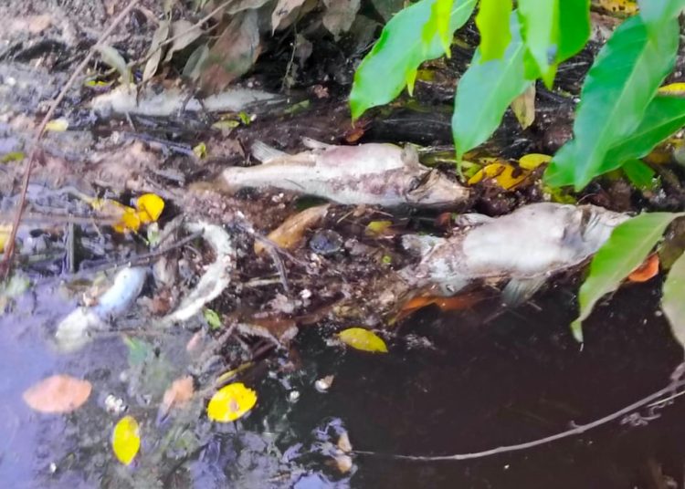 Dewan Soroti Pencemaran Sungai Tunan