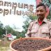 Menikmati Keindahan Alam di Wisata Kampung Kopi Luwak Kaltim