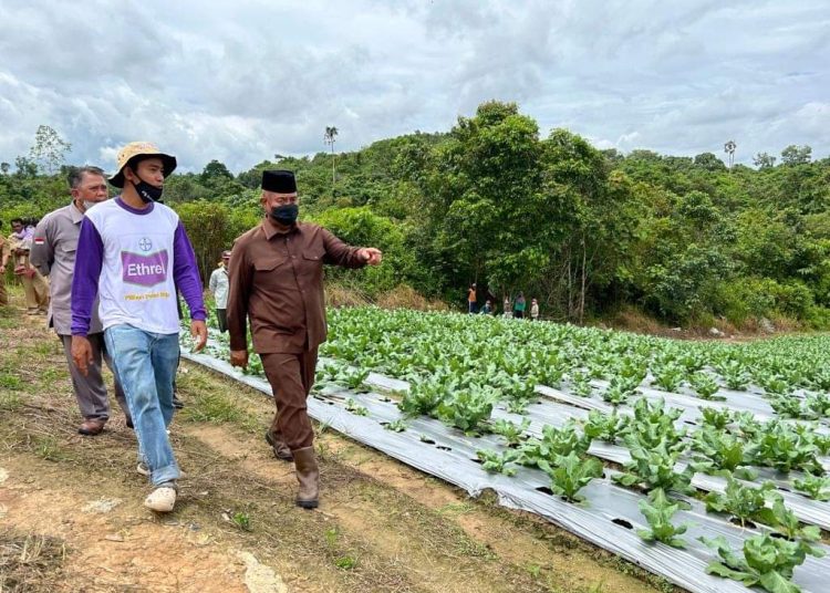 Dispora Kukar Siapkan 3 Strategi Untuk Bangkitkan Semangat Petani Muda