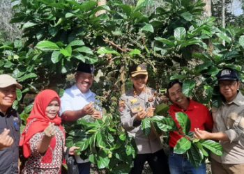 Tingkatkan Potensi Pertanian Lokal, Pemuda di Kukar Jalani Pelatihan Budidaya Kopi