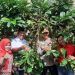 Tingkatkan Potensi Pertanian Lokal, Pemuda di Kukar Jalani Pelatihan Budidaya Kopi