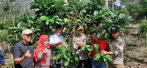 Tingkatkan Potensi Pertanian Lokal, Pemuda di Kukar Jalani Pelatihan Budidaya Kopi