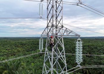 Penyediaan Listrik di IKN Capai 86,8 Persen, PLN UIP KLT Rampungkan Tiga Proyek Utama