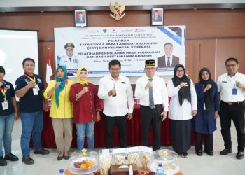 Dorong Kreativitas dan Inovasi UMKM Lewat Pelatihan