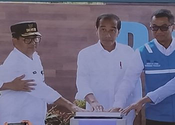 PLN Hub di IKN Sebagai Ekosistem Kelistrikan Ramah Lingkungan
