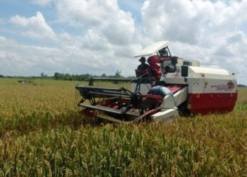 Desa Rapak Lambur Diproyeksi Jadi Lumbung Pangan untuk Kukar