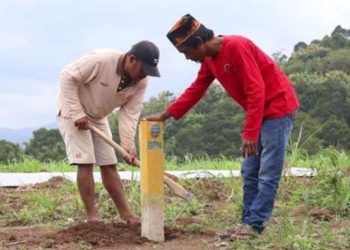 Lurah Maluhu Siap Fasilitasi Warga Urus Sertifikat PTSL