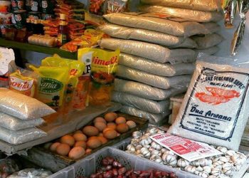 Ketersediaan Pangan Aman Selama Agustus 2024