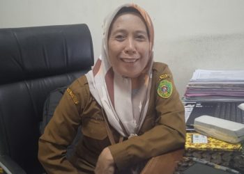 Beras, Cabe, dan Minyak Goreng Diprediksi Mengalami Kenaikan