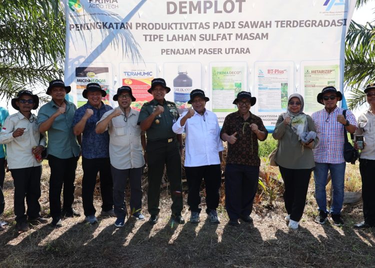 Kunjungi PPU, ABI Evaluasi Teknologi Budidaya Padi