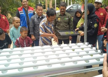 Dorong Petani Milenial Sejak Dini