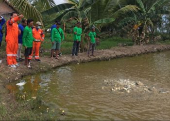 Perkuat Ketahanan Pangan Jelang IKN, Pemkab PPU Kembangkan Budidaya Ikan
